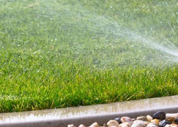 Gartenbewässerung: Methoden und Tipps